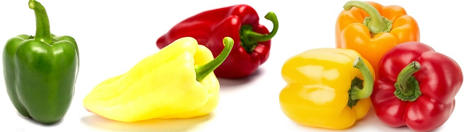 PAPRIKA