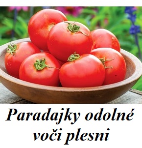 paradajky odolne voci plesni 