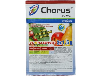chorus 3x1,5