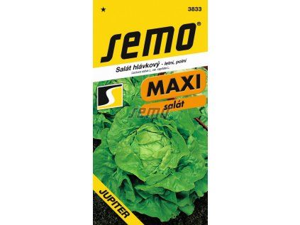 3833 semo zelenina salat hlavkovy jupiter