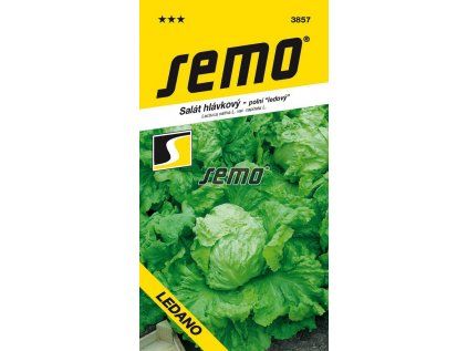 3857 semo zelenina salat hlavkovy ledano
