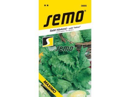 3855 semo zelenina salat hlavkovy maximo