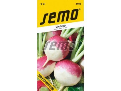4105 semo zelenina vodnice purple top white globe 256x500