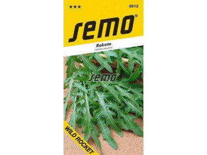 3613 semo zelenina roketa seta wild rocket