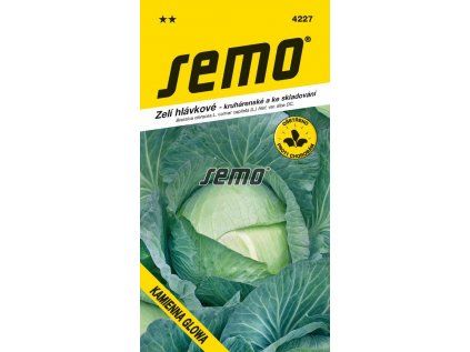 4227 semo zelenina zeli hlavkove kamienna glowa