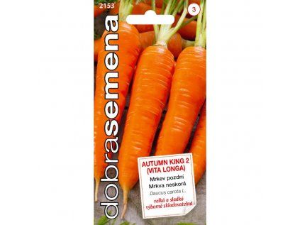 AUTUMN KING 2 VITA LONGA 2 Mrkev obecna