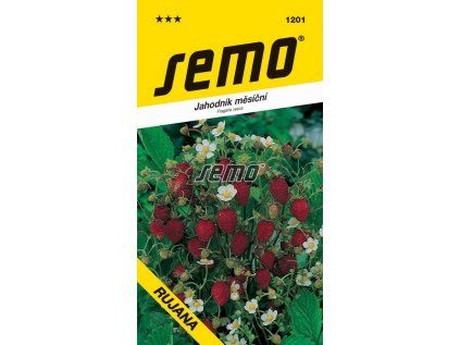 1201 semo zelenina jahodnik mesicni rujana