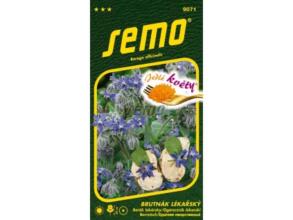 9071 semo kvetiny letnicky brutnak lekarsky