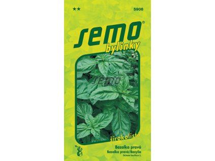 Semo bylinky bazalka prava dark green