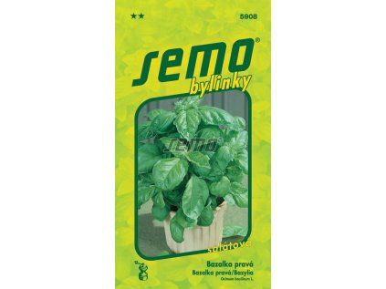Semo bylinky bazalka prava lettuce leaf