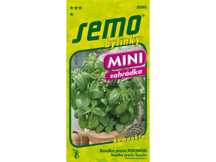 Semo bylinky bazalka prava