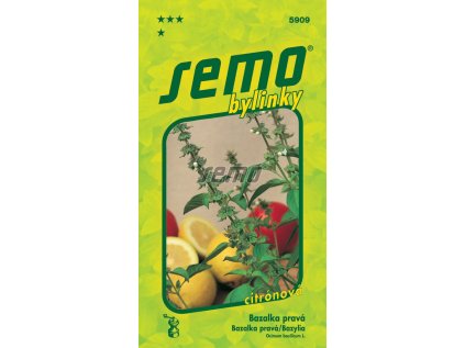Semo bylinky bazalka prava lime