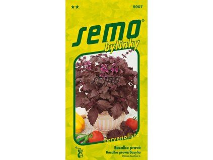 Semo bylinky bazalka prava purple opaal