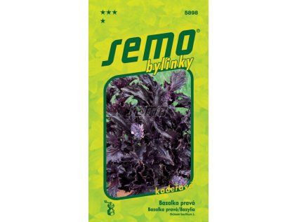 Semo bylinky bazalka prava purple ruffles
