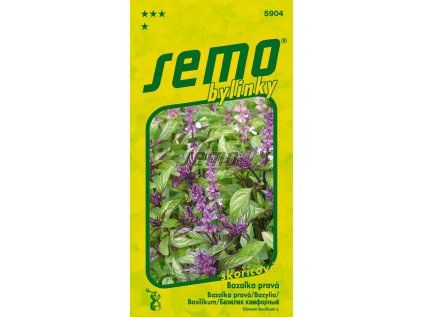 5904 semo bylinky bazalka prava cinamonette