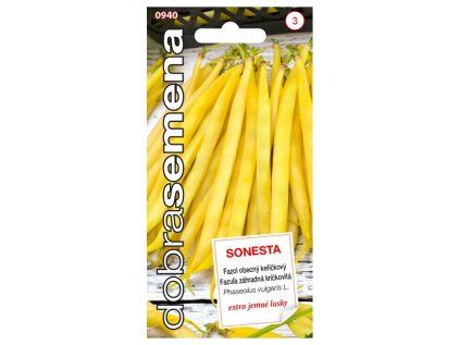 sonesta 10 g