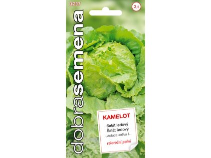 kamelot