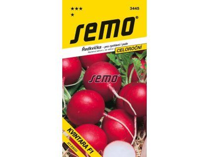 3445 semo zelenina redkvicka kvintara (1)