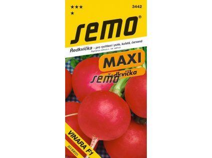 3442 semo zelenina redkvicka vinara
