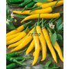 2565 semo zelenina paprika rocni smes barev chili4