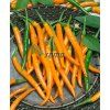 2565 semo zelenina paprika rocni smes barev chili3