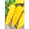 Paprika MAXI CORNO GIALLO