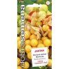 jantar1