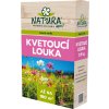kvitnuca luka