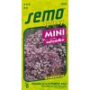 Semobazalka prava purple ball