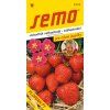 1216 semo zelenina jahodnik florian2