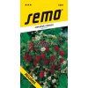 1201 semo zelenina jahodnik mesicni rujana