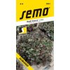 3861 semo zelenina salat listovy dubared