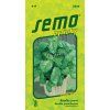 Semo bylinky bazalka prava lettuce leaf