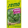 Semo bylinky bazalka prava