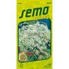 5902 semo bylinky anyz