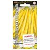 sonesta 10 g