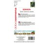 tykev cuketa soraya 15 g2
