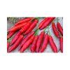 de cayenne 04 g paprika chilli (2)