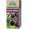 sciara3